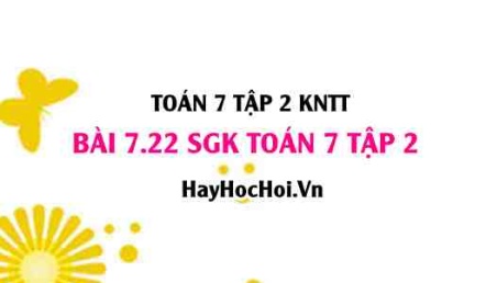 Bài 7.22 SGK Toán 7 tập 2 Kết nối tri thức